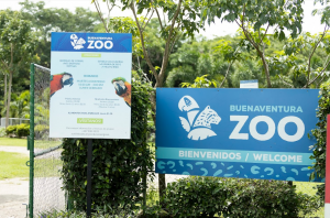 The Buenaventura Zoo: An example of animal conservation in the region -  Buenaventura Beach Golf Resort