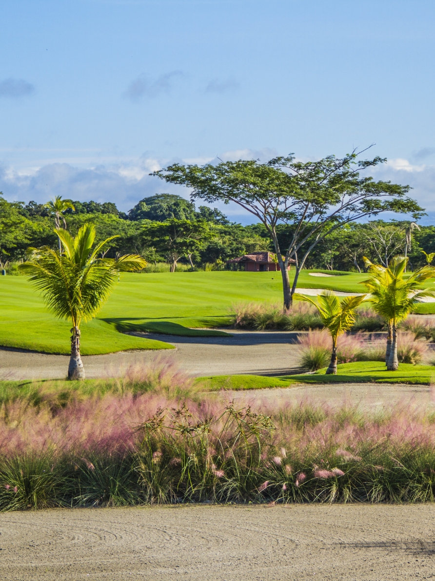 Number 1 Golf Club | Buenaventura Beach Golf Resort Panama
