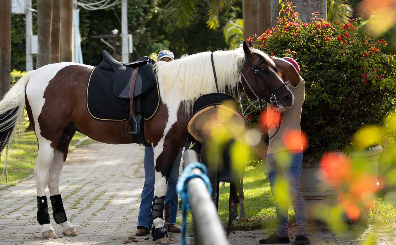 Las Cuadras Equestrian Club | Buenaventura Golf & Beach Resort Panama